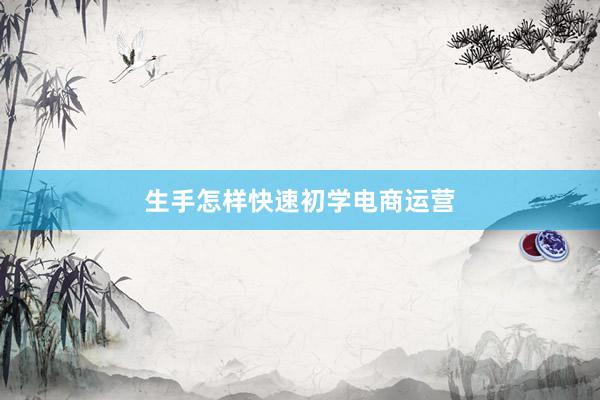生手怎样快速初学电商运营