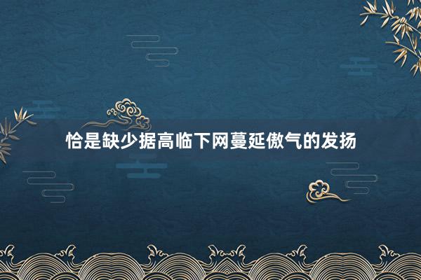 恰是缺少据高临下网蔓延傲气的发扬